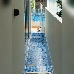 Whitley Road (D11), Semi-Detached #486960831